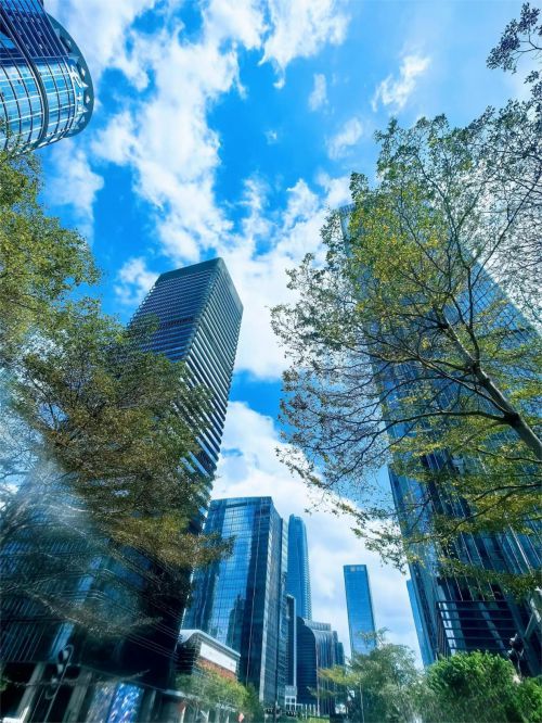 数字货币金融体系_金融学数字货币的重要意义_数字货币与金融教育的结合