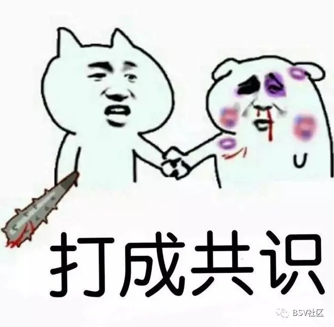 推特货币_推特社区在哪_了解各币种的推特与社区网络影响力：如何支持项目发展