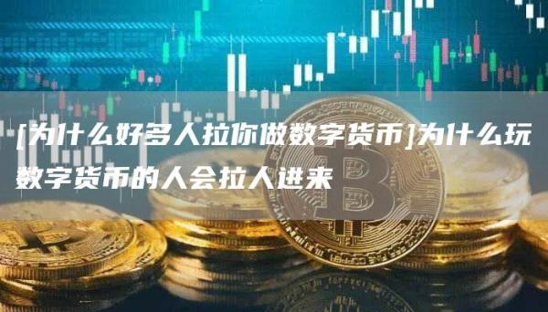 研究虚拟货币在风险投资中的角色：探寻新兴市场中的投资机会_投资项目评估中风险含义和分类_虚拟数字货币如何投资