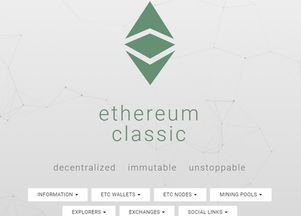 ETC以太经典币的治理和投票机制是什么？