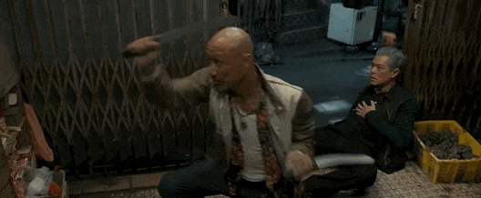 元彪武术指导哪些电影_元彪的武术训练与日常生活_元彪精彩的武打片段