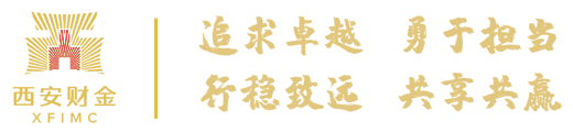西安财金惠企融资综合服务平台全面推动公司数字化转型升级
