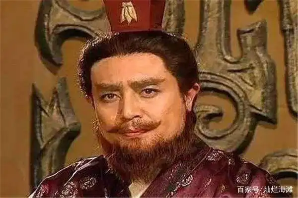 诸葛亮的外交智慧_诸葛亮与东吴的外交策略_诸葛亮的外交政策