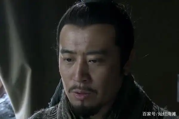 诸葛亮与东吴的外交策略_诸葛亮的外交智慧_诸葛亮的外交政策