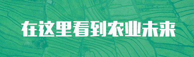 全球农业挑战_秦英林如何参与全球农业的竞争_农业国际竞争力的影响因素