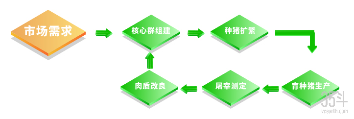 秦英林如何参与全球农业的竞争_全球农业挑战_农业国际竞争力的影响因素