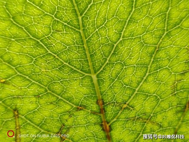 中兴手机问题反馈_用户反馈：中兴手机的使用体验总结_中兴出现的问题及解决