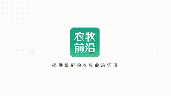 秦英林在2019中国畜牧饲料论坛分享非洲猪瘟下养猪业的发展思路