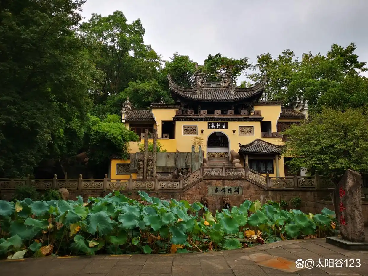 西施对越国有什么贡献_西施牺牲贡献越国了吗_西施对越国的贡献与牺牲