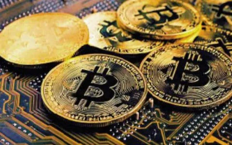 自己开发一款数字货币_区块链开发数字货币_选择数字货币的技术支持与开发进度