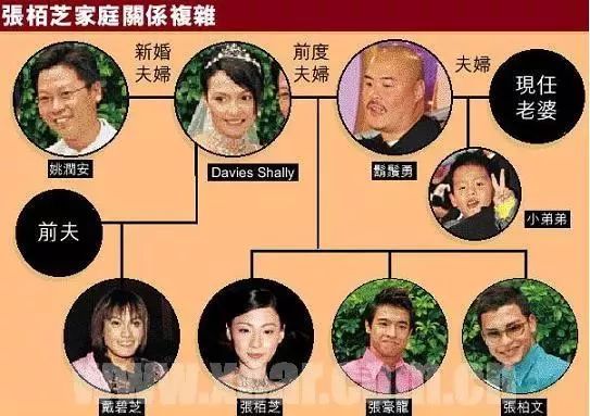 张柏芝的经典影视作品中的幽默元素_张柏芝的经典影视作品中的幽默元素_张柏芝的经典影视作品中的幽默元素