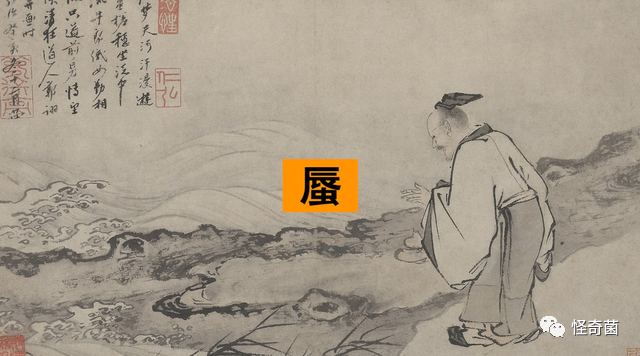 海妖三姐妹_海妖：_海妖的呼唤