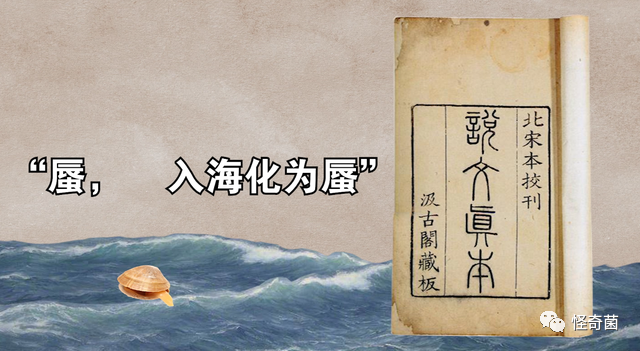 海妖三姐妹_海妖的呼唤_海妖：
