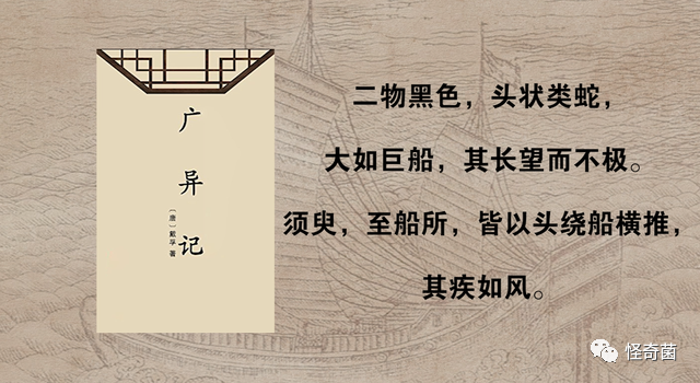 海妖三姐妹_海妖的呼唤_海妖：