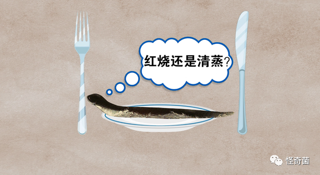 海妖三姐妹_海妖的呼唤_海妖：