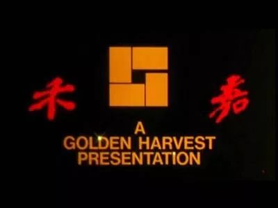 洪金宝打斗场面_洪金宝谈动作演员_洪金宝的经典动作场面分析