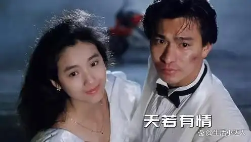 刘德华电影代表_刘德华电影角色题材历史分析_刘德华的历史题材电影与角色