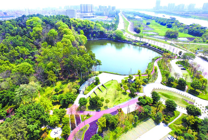 未来智能家居的展望_何享健的创新实践与未来展望_微软对未来世界的展望视频