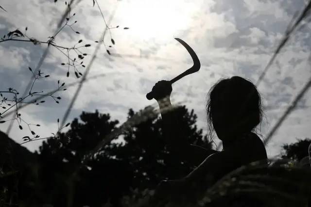 颠覆想象：2023年不可错过的十大电影_颠覆的电影_颠覆人生的电影