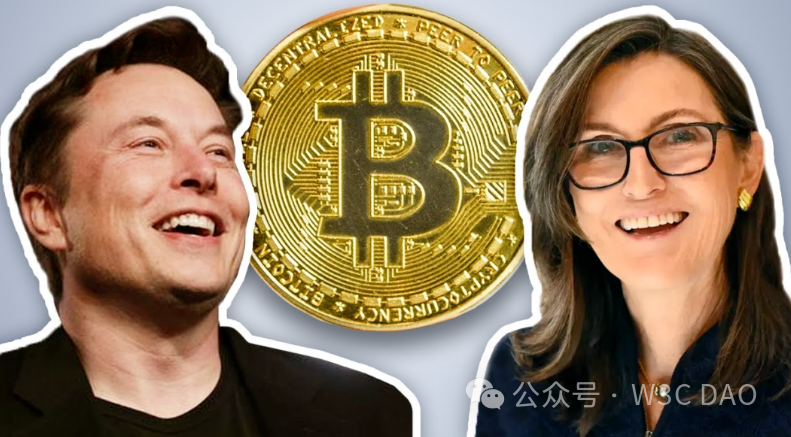 狗狗币的能源消耗与可持续发展：当代加密货币的环保挑战_加密狗币行情_狗狗币市值排名加密货币第五