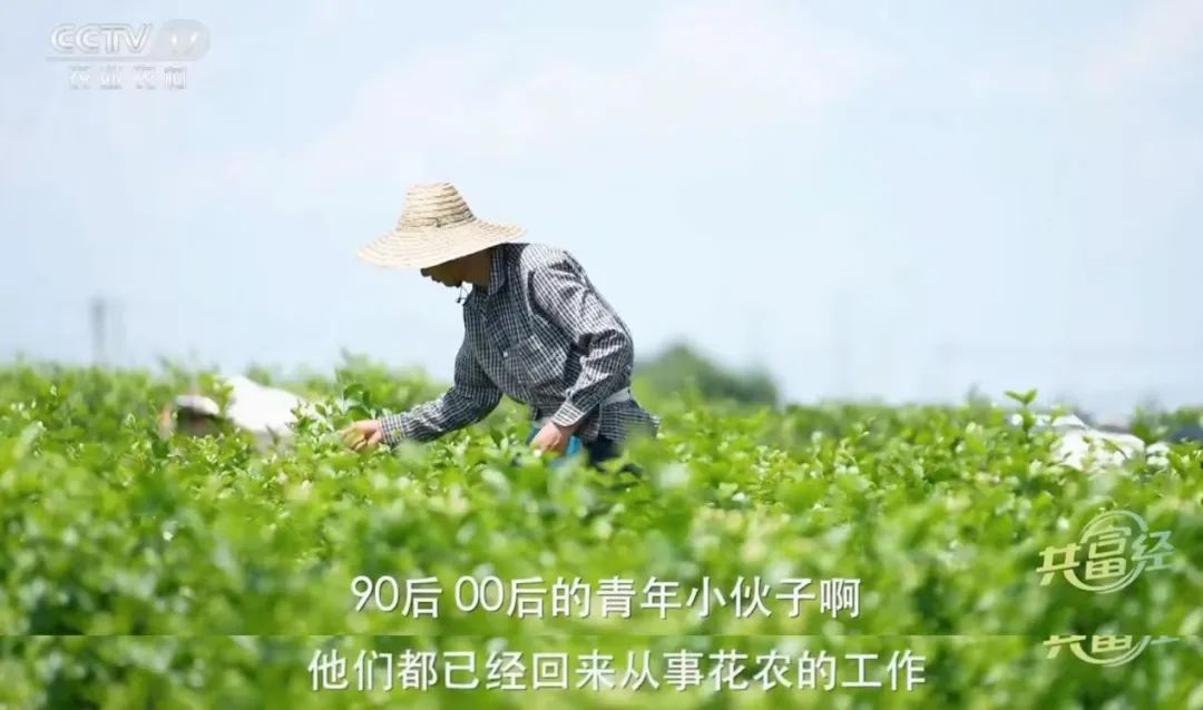 农夫山泉的社会责任与钟睒睒的理念_农夫山泉社会责任感_农夫山泉社会效果
