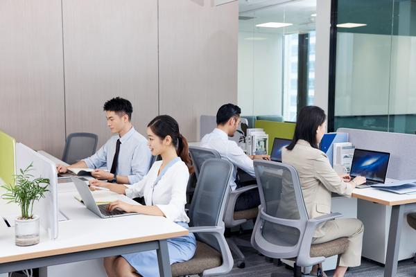 虚拟货币市场波动与风险应对：政策因素、市场情绪与投资者行为分析