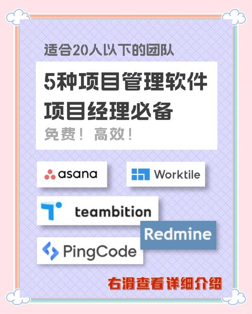 巧用TP官网正版项目管理软件，分享高效项目管理实用经验