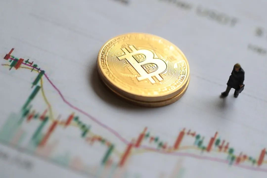 加密货币投资是什么_加密货币投资机构_理解加密货币对金融市场行为的影响：从散户投资到机构资产配置